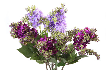artificial bouquet of lilac on a white background