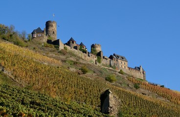 Burg Thurant bei Alken (Mosel)