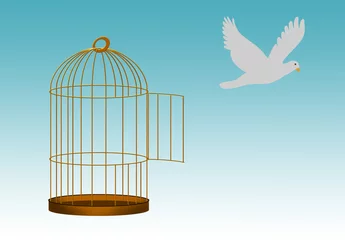 Aluminium Prints Birds in cages Gilded cage escape concept, freedom metaphor