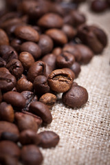 Coffee beans closeup on pastel background 