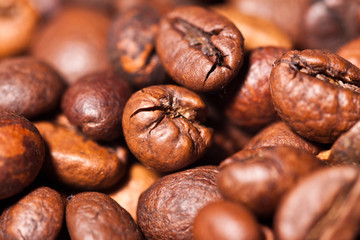 Coffee beans closeup on pastel background 