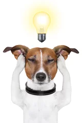 Stickers pour porte Chien fou smart intelligent dog