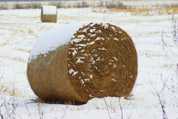 SŁOMA © goral75