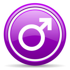 sex violet glossy icon on white background