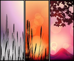 Set of sunset landscape banners
