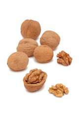 Walnuts on white background (vertical shot)