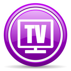 tv violet glossy icon on white background