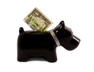 little dog moneybox