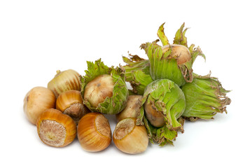 fres hazelnuts