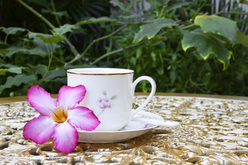 Tea Time in the Garden with Desert Rose Flower on Golden Table