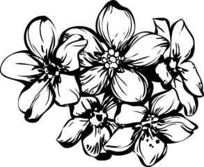 a sketch five flowerets in one bouquet