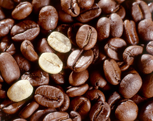 Fresh roasted coffee beans