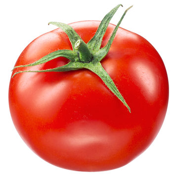 tomato on white. with clipping path