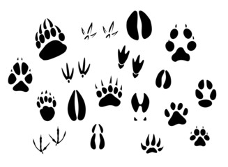 Obraz na płótnie Canvas Sylwetki zwierząt footprints