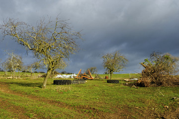 Obraz premium Rural landscape in winter