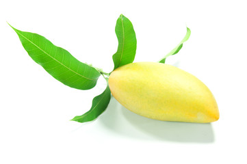 Sweet mango and leaf on isolate background.