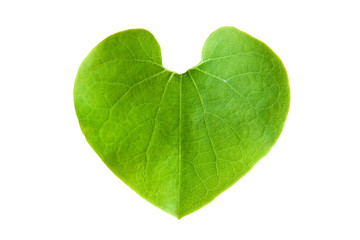 Green leaf in shape of heart isolated on white background