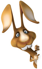 Fun rabbit © Julien Tromeur