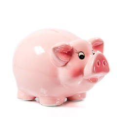 Piggybank.  Piggy