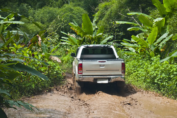 Adventure in the jungle