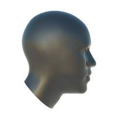 3D Head