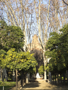 Umbraculum: Building garden, Ciutadella Park, Barcelona