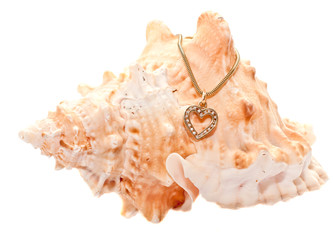 shell with a gold chain