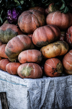 Pumpkins For Sale At Local Salamanca Market, Hobart, Australia