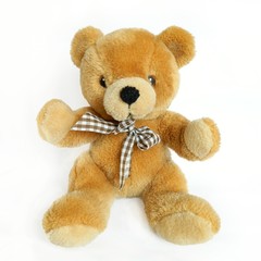 teddy bear on a white background with clipping path