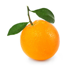 orange with two leaves on white
