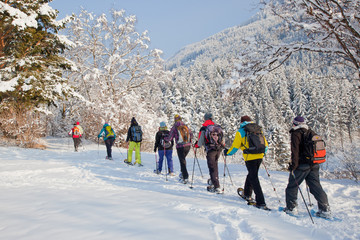 Schneeschuhwandern - 48722741