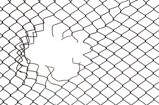 hole in the mesh wire fence