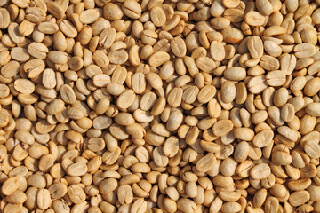 Raw coffee beans background