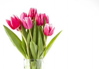 Bunch of pink tulips in a glass vase on a white background