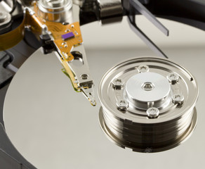 Hard disk from within