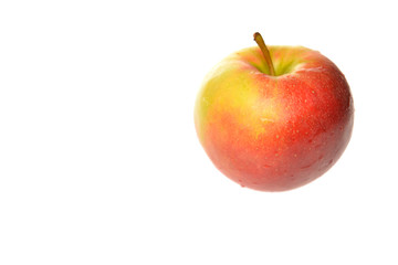 Obst