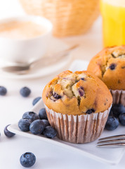 Blueberry Muffins