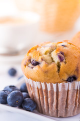 Blueberry Muffins