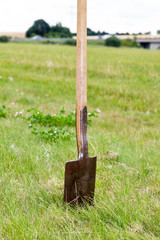 Spade into the lawn