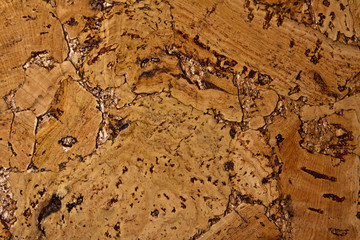 cork texture. cork background. Closeup