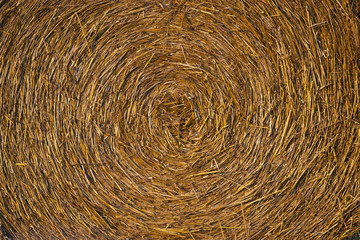 Harvested hay background