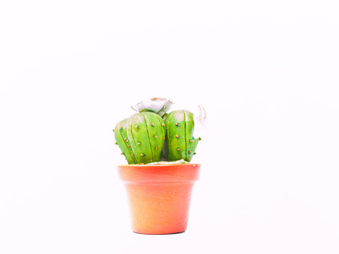 A miniature cactus model isolated on white background