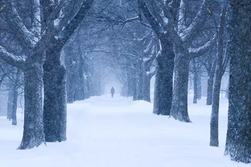 Poster Montreal in winter © mario beauregard