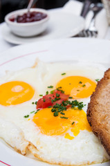 Prepared Egg