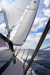 sailing on blue sea
