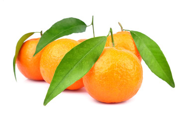 Tangerines with leaves