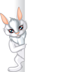 Rabbit card