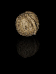 Walnut on Black background