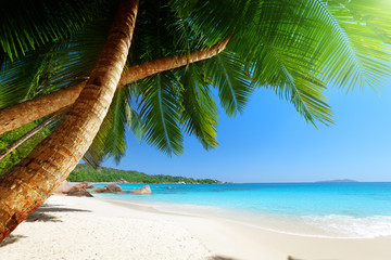 Anse Lazio beach at Praslin island, Seychelles