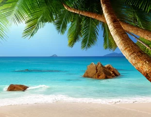 Store enrouleur tamisant sans perçage Plage tropicale Anse Lazio beach on Praslin island in Seychelles